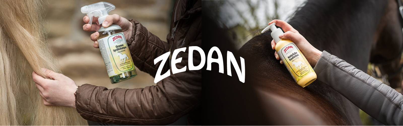 Zedan